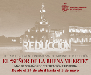 Reduccion Publi 2025 (1)